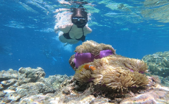 best snorkeling spots in oahu