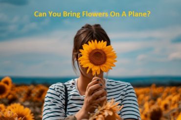 Can You Bring Flowers On A Plane