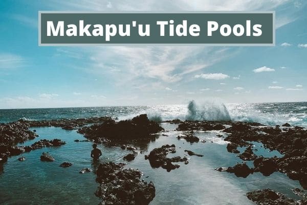 Makapu'u Tide Pools