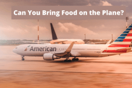 Can You Bring Food On The Plane 270x180 