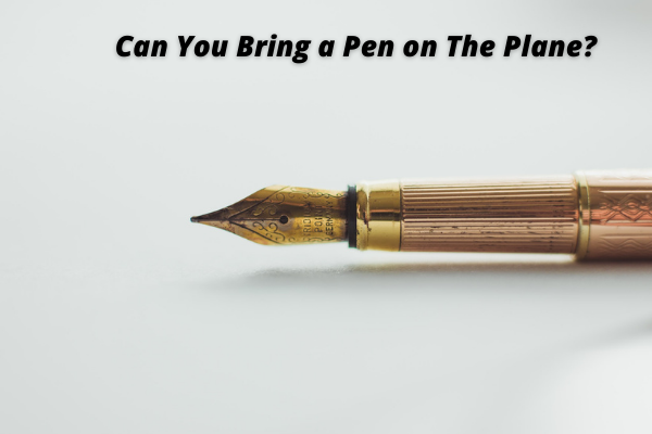 Can You Bring a Pen on The Plane