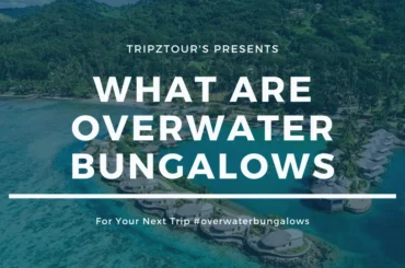 what are overwater bungalows means